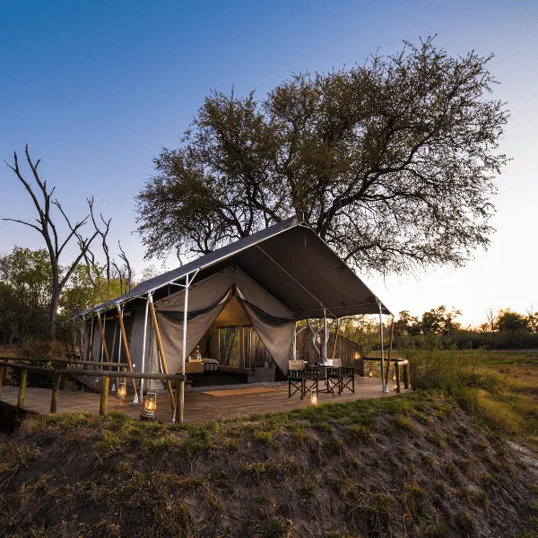 Little Machaba Okavango Delta