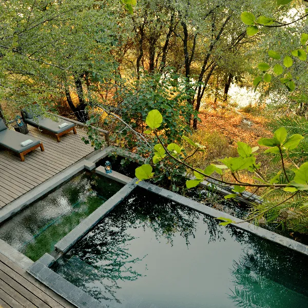 Chobe Bakwena