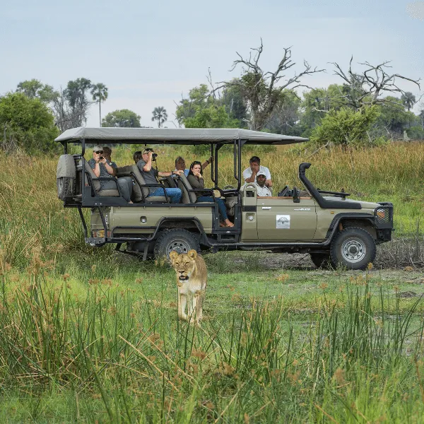 Gomoti Plains Okavango Delta