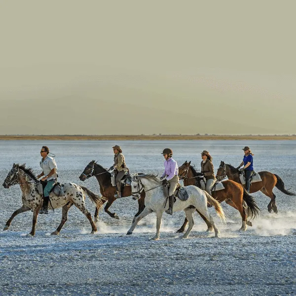 Jacks Camp Botswana