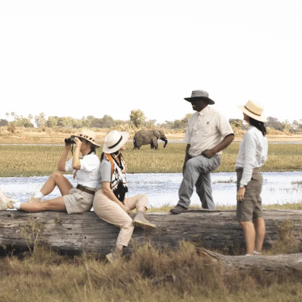 Mombo Camp Okavango Delta Botswana