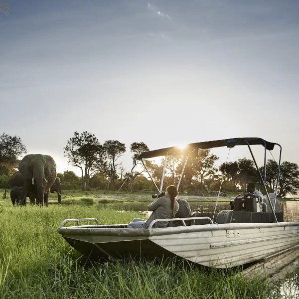 Chobe Chilwero Botswana