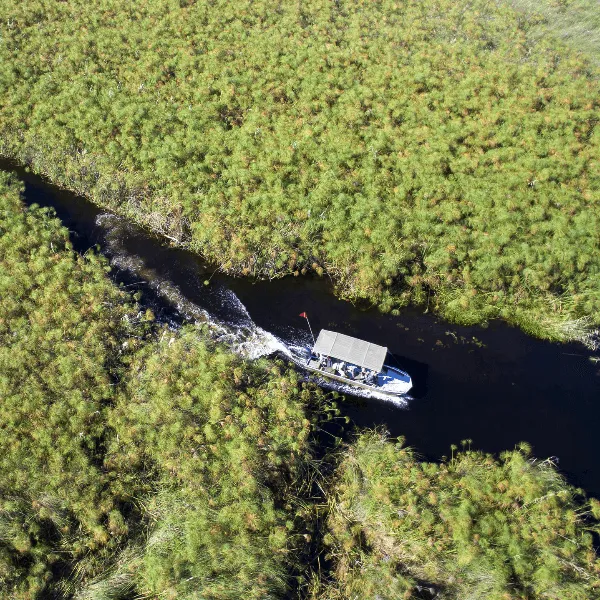 Okavango Delta