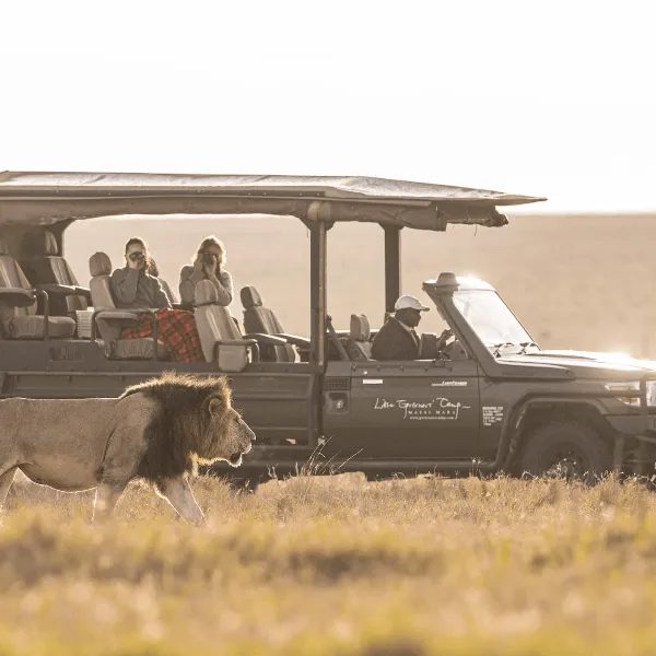 Maasai Mara Little Governors