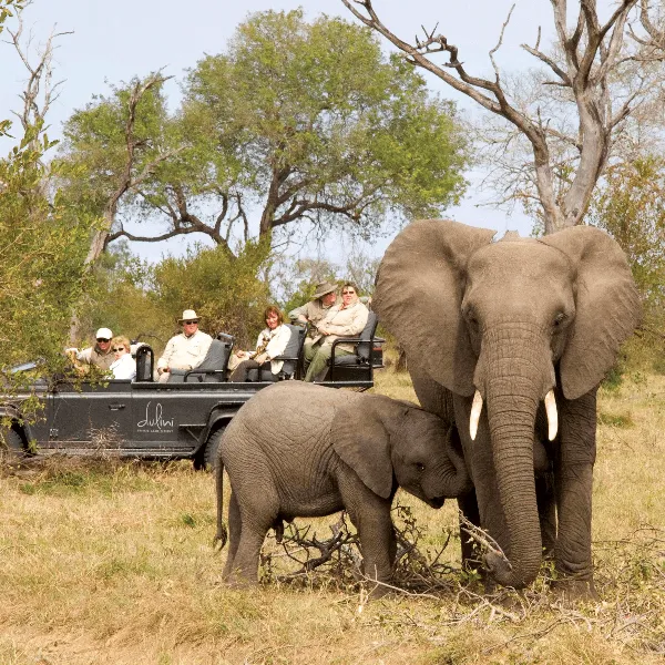 Dulini River Lodge