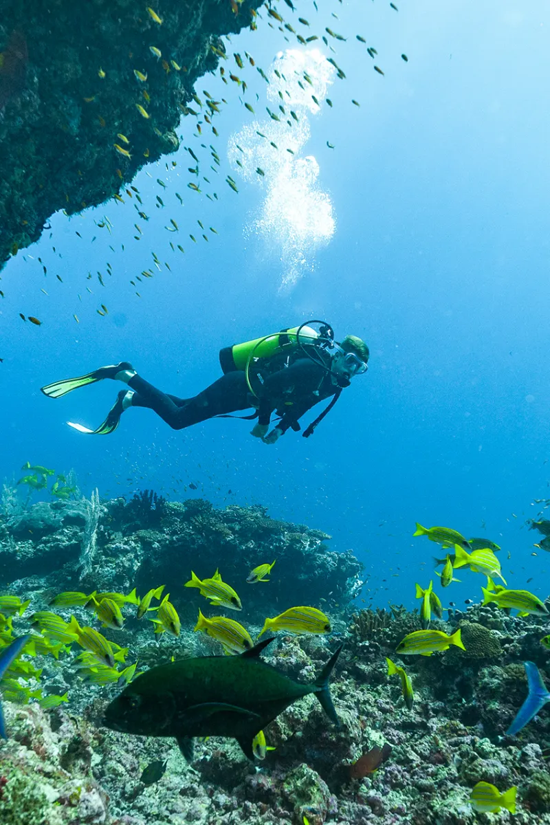 Scuba Diving