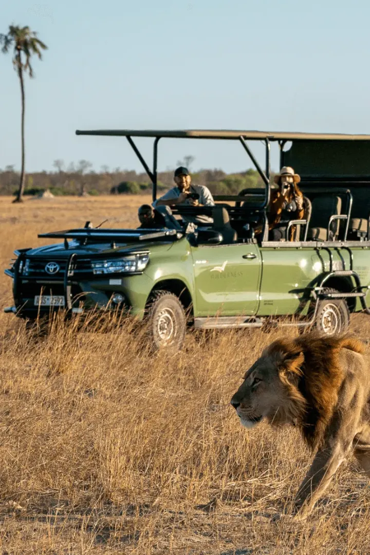 Wilderness Linkwasha