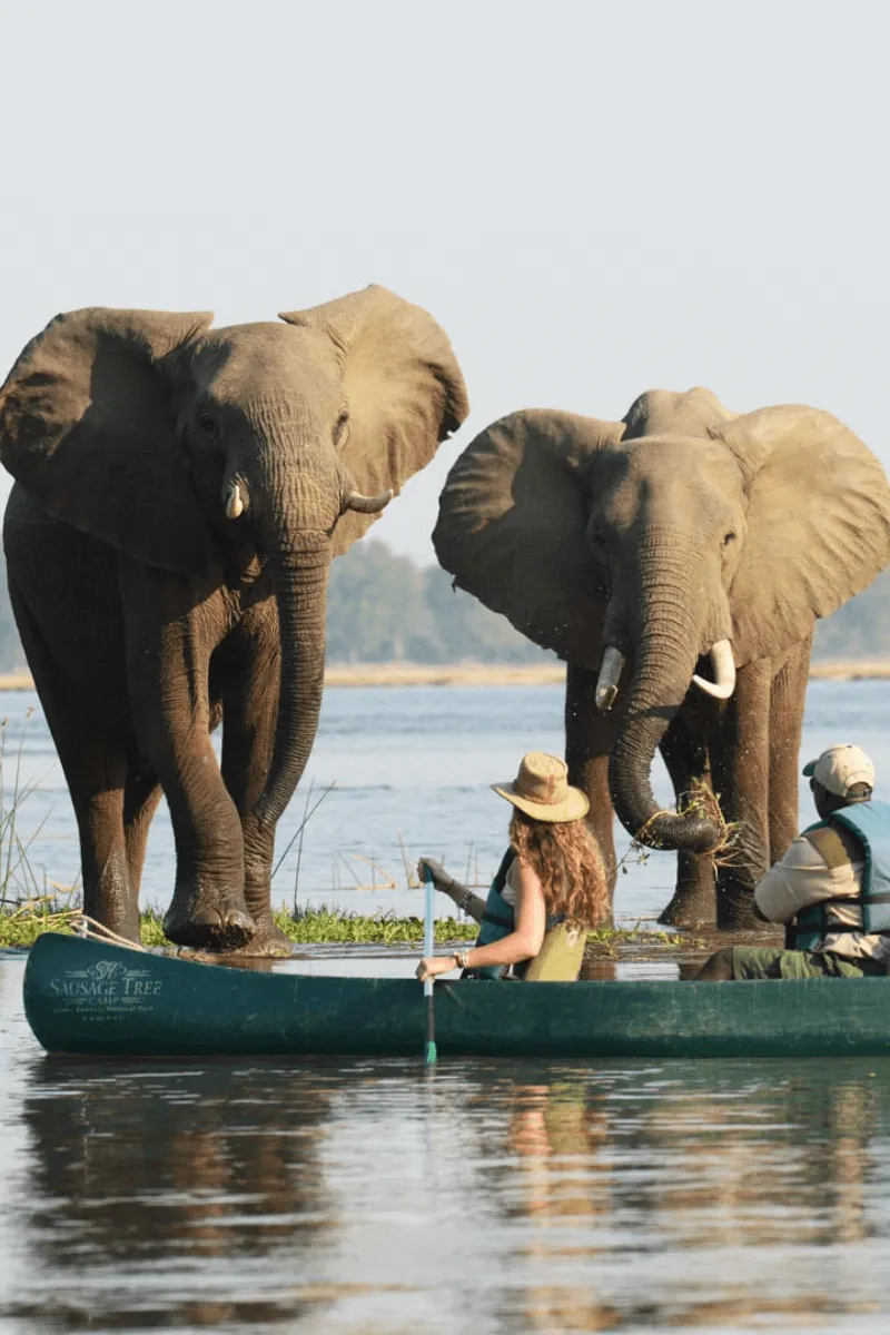 Canoeing Safaris Lower Zambezi