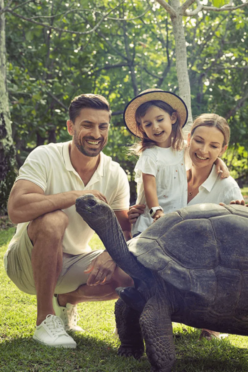 Family Holiday North Island