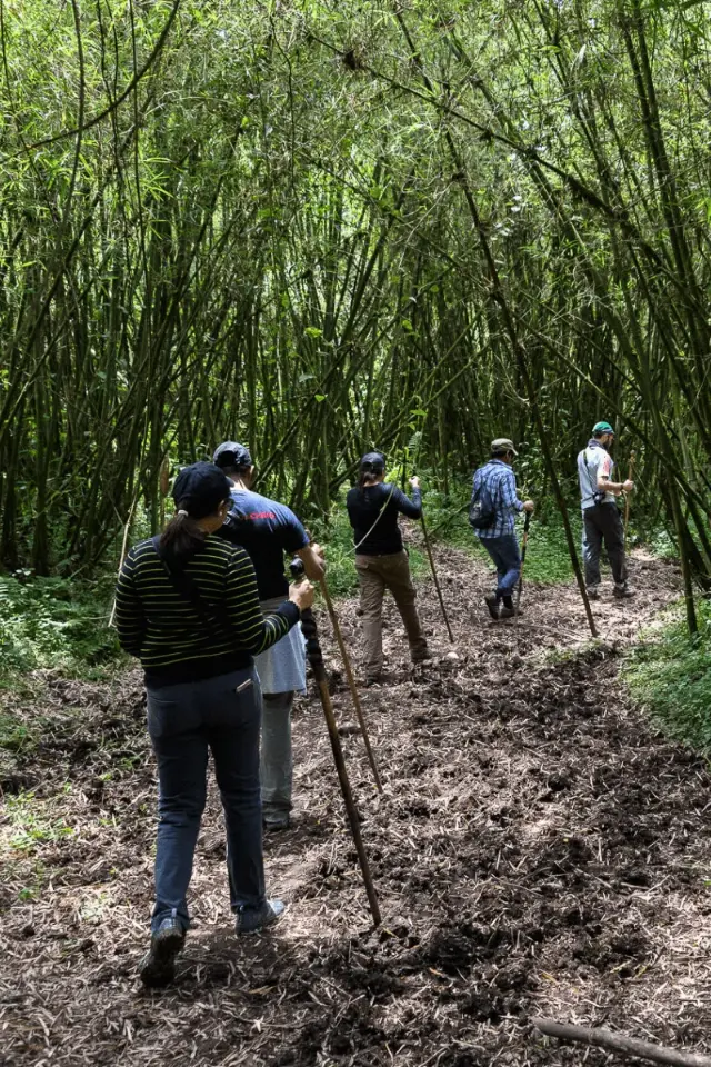 Hiking Bisate Lodge Rwanda