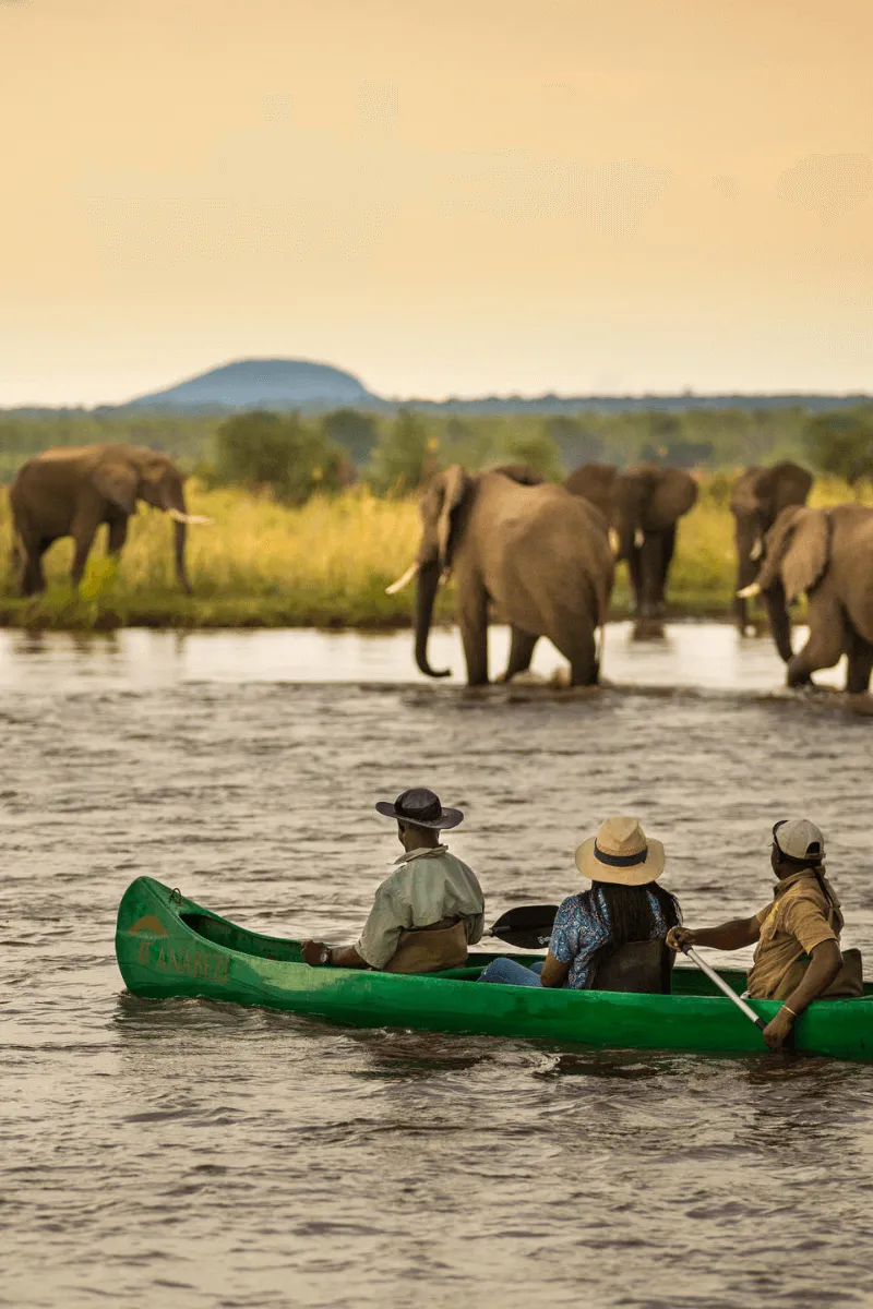 Anabezi Lower Zambezi Zambia