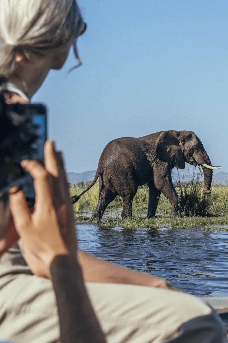 Anabezi Lower Zambezi Zambia