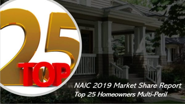 Who are the largest homeowners insurers in the US?