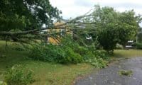 Insurance coverage regarding Cape Cod Tornado