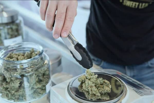 Regulators Flag "Monumental Day" for Social Cannabis Use
