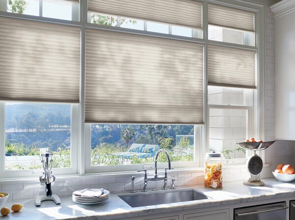 Duette cellular honeycomb shades Castle Rock