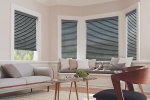 Motorized Blinds Living Room of Denver Home