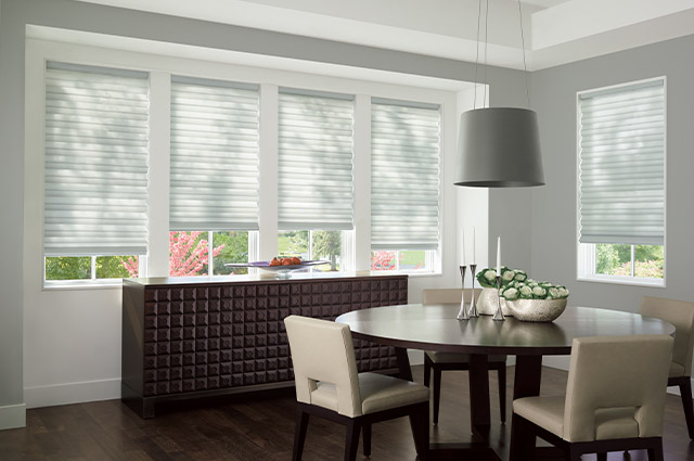 Vignette Roman Shades By Hunter Douglas For Sale In Denver