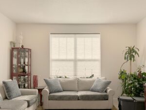 Efficient honeycomb blinds in a modern living room setting.