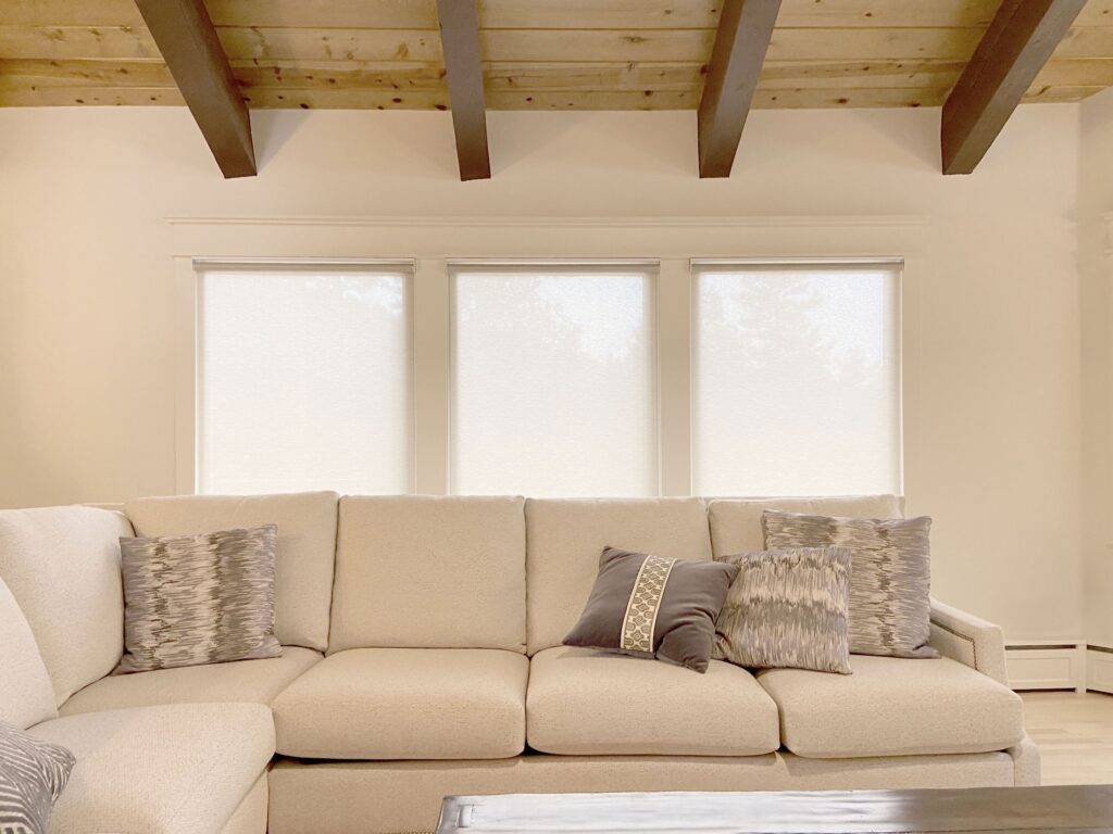 Hunter Douglas Designer Screen Shades with LiteRise and Light Filtering Fabric for Colorado living room