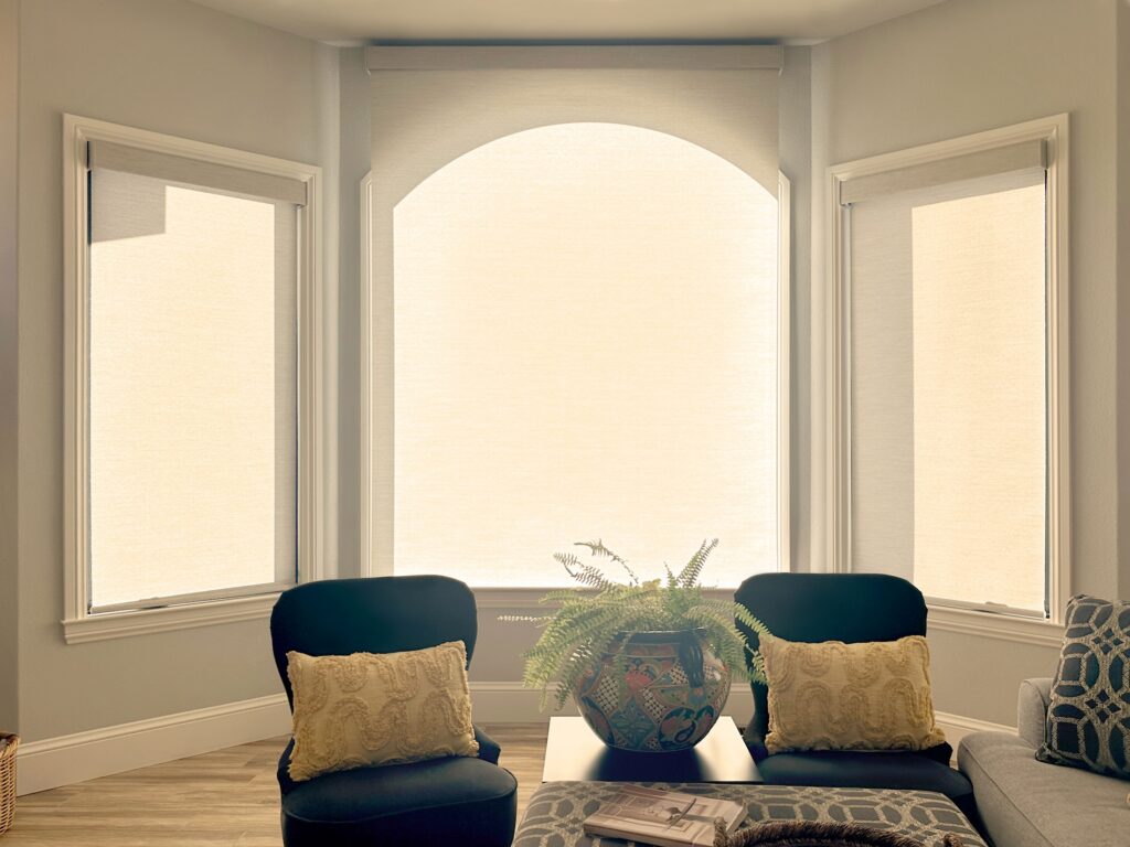 Hunter Douglas Designer Roller Shades with PowerView Automation and Light Filtering for Colorado living room