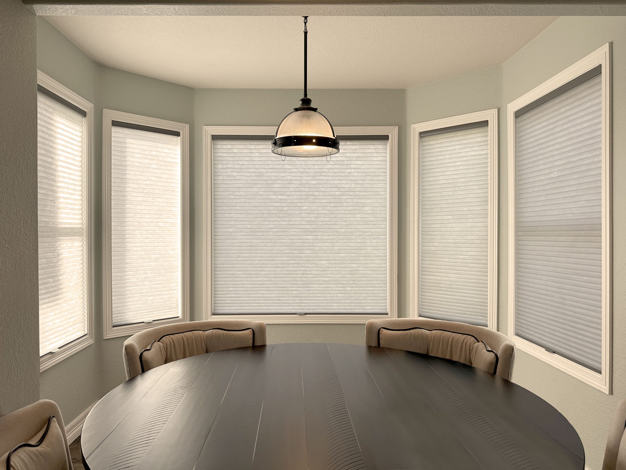 Hunter Douglas Applause Cellular Shades with LiteRise operation and light filtering fabric