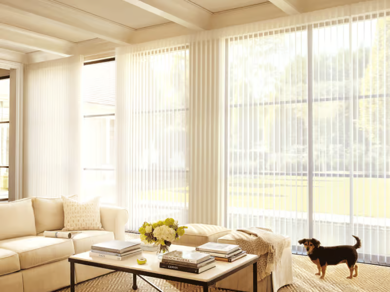 Hunter Douglas Pirouette Privacy Sheers with EasyRise operation, Bottom Up functionality, and light-filtering fabric.