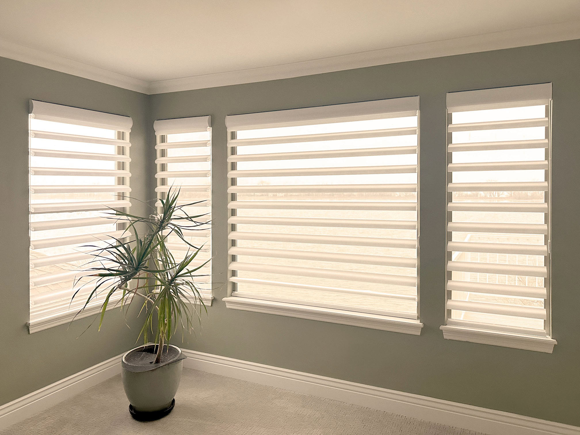 Custom zebra window treatments in Colorado Springs enhancing home decor.