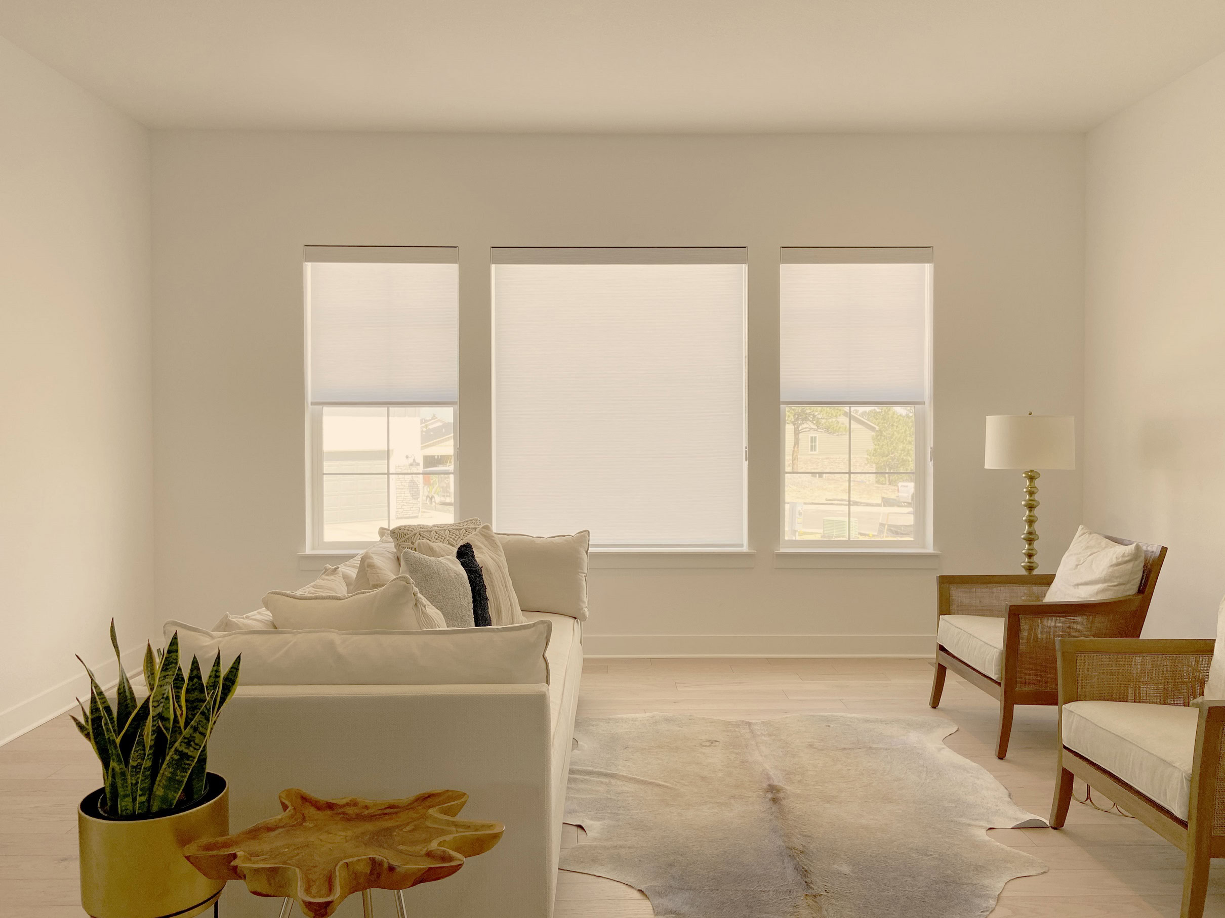Hunter Douglas Designer Roller Shades with Light Filtering fabric and Custom Clutch operating system.