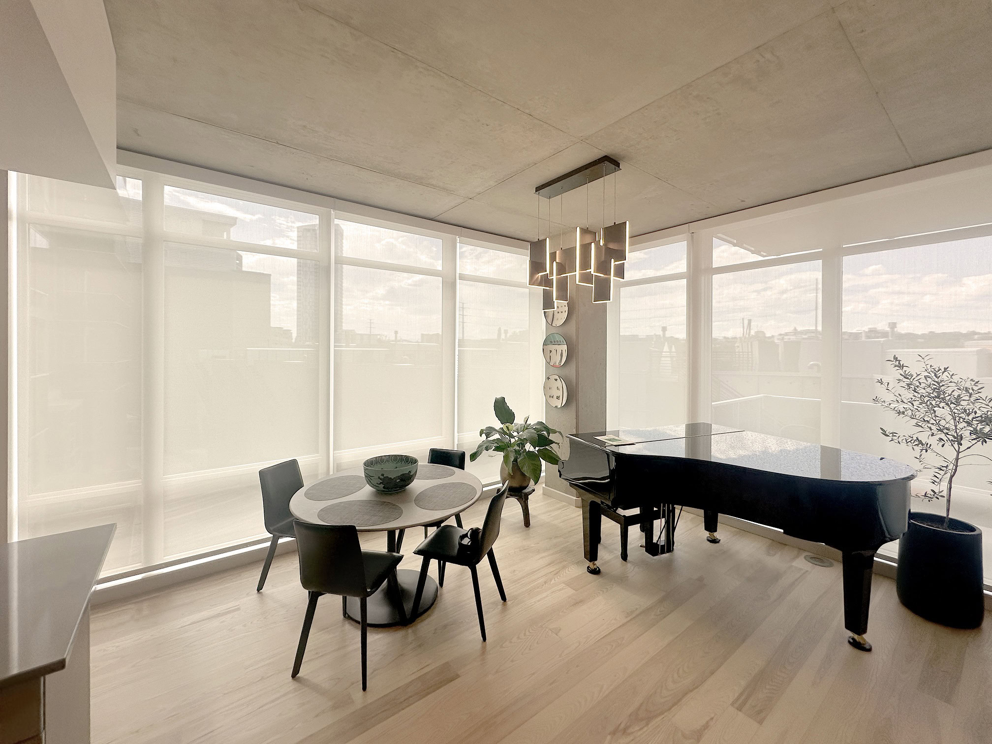 Hunter Douglas Designer Screen Shades with Light Filtering fabric and PowerView motorized operation.