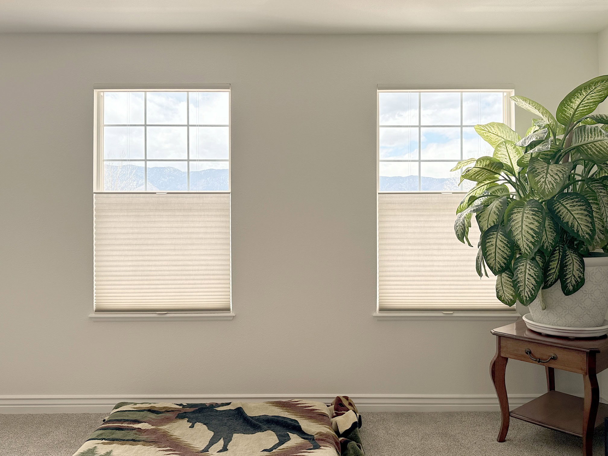 Hunter Douglas Duette Cellular Shades with Light Filtering fabric, LiteRise cordless operation, and Top-Down Bottom-Up functionality.