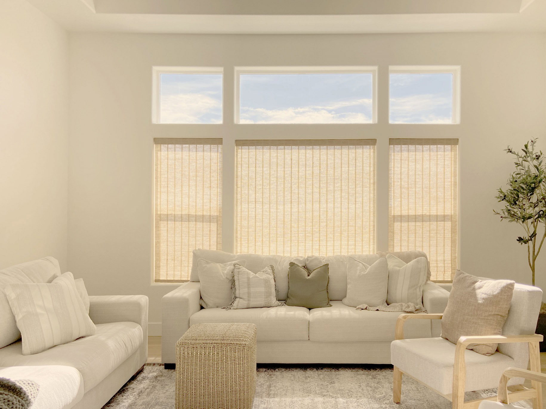 Hunter Douglas Provenance Woven Wood Shades with PowerView motorization and light filtering fabric