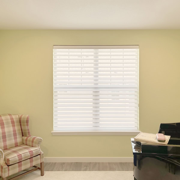 Hunter Douglas Silhouette Privacy Sheers EasyRise Light Filtering. The Deux system is available