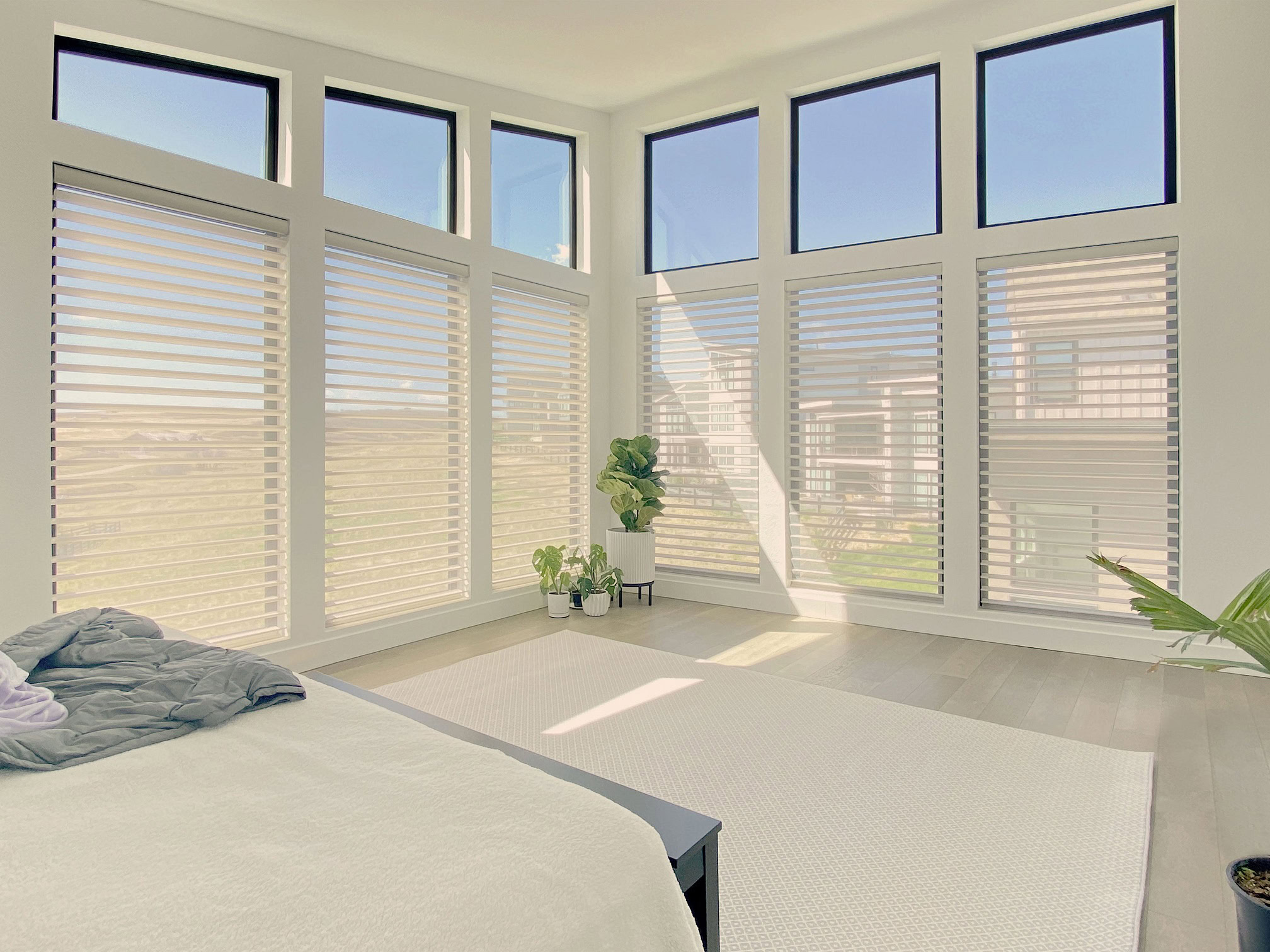 Hunter Douglas Silhouette Privacy Sheers with PowerView Automation and Light Filtering fabric for Colorado bedroom