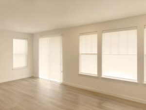 Alta Roller Shades with Continuous Loop, TouchLift, and Light Filtering Fabric for Windows and Doors