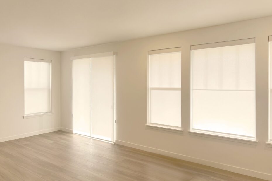 Alta Roller Shades with Continuous Loop, TouchLift, and Light Filtering Fabric for Windows and Doors