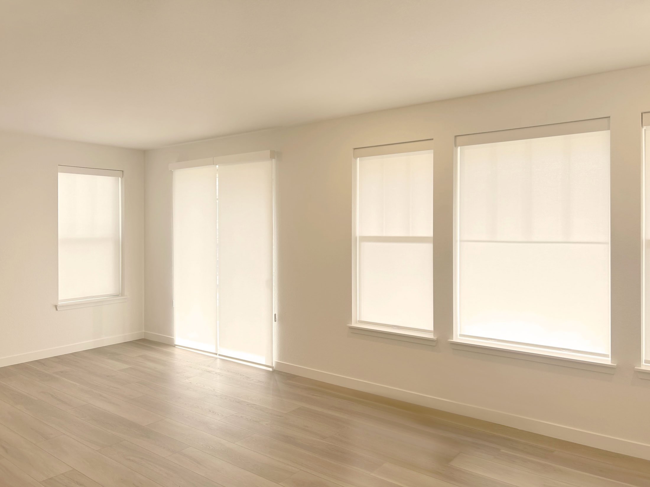 Alta Roller Shades with Continuous Loop, TouchLift, and Light Filtering Fabric for Windows and Doors