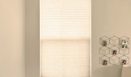Alta Honeycomb Shades with Cordless Lift, Top-Down Bottom-Up feature, and Light Filtering fabric