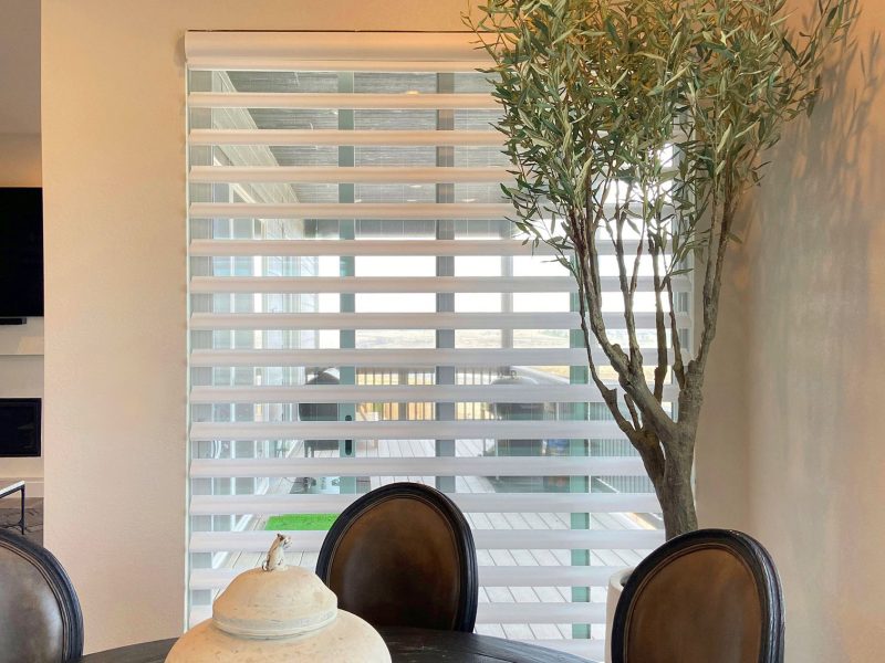 Stylish Denver home interior featuring a dining table, decorative vase, and a tall indoor tree near.