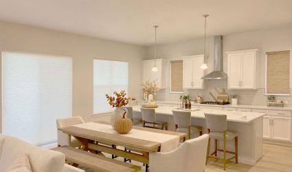 hunter-douglas-duette-cellular-shade-window-coverings-for-sale-denver-co Are honeycomb blinds more energy-efficient?