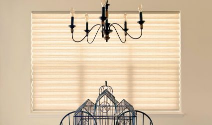 Hunter Douglas Vignette Roman Shades with LiteRise cordless operation and Light Filtering fabric