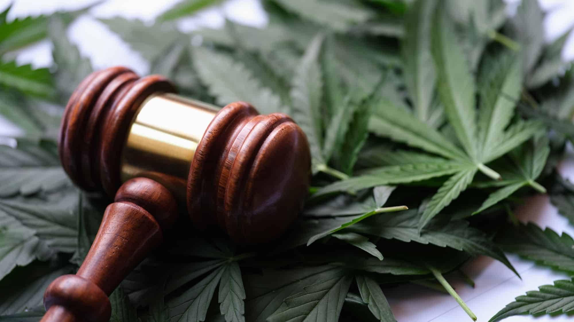 Drug Possession Law