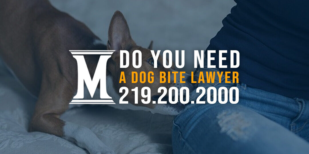 Do-You-Need-a-Dog-Bite-Lawyer