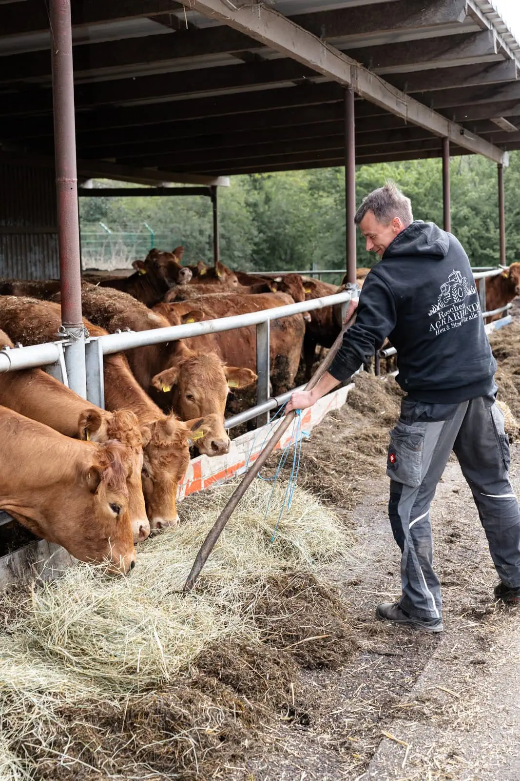 Businessfotografie, Businessfotos, Mitarbeiterfotos, Businessfotograf, Immobilienfotografie, Unternehmensfotografie, Corporate Fotografie, Businessportraits, Mitarbeiterportraits, Businessbilder, Personal Branding Fotografie, Professionelle Businessfotos, Social-Media-Fotografie, Brandingfotografie, Personal Branding Fotograf, Personal Branding Fotos, Fotograf für Unternehmer, Professionelle Business Portraits, Fotos für Unternehmen, Businessfotografie Hamburg, Businessfotografie Hannover, Businessfotografie Bremen, Businessfotografie Osnabrück, Businessfotos Hamburg, Businessfotograf Hamburg