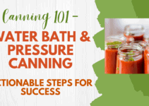 Canning 101 – Water Bath & Pressure Canning – Actionable Steps for Success