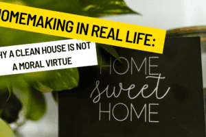 Homemaking in Real Life: Why a Clean House Is Not a Moral Virtue