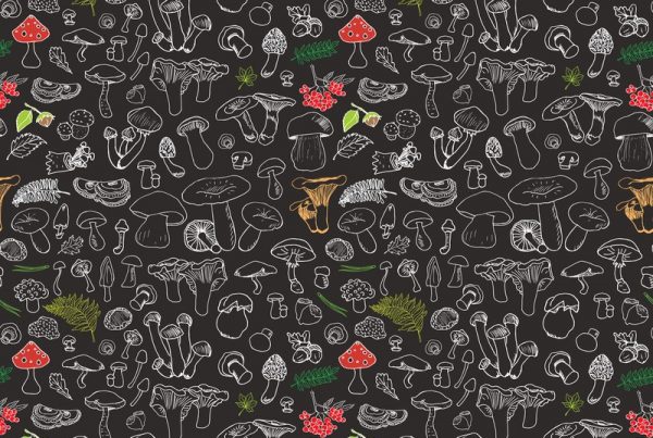 10 Best Foods for Spring Health