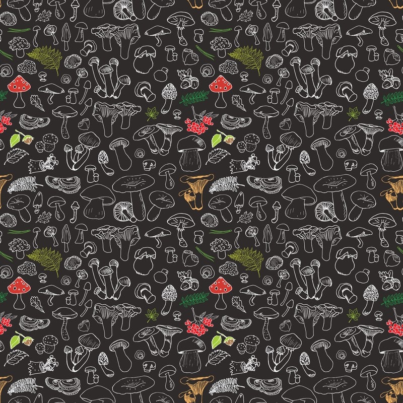 10 Best Foods for Spring Health and Immunity