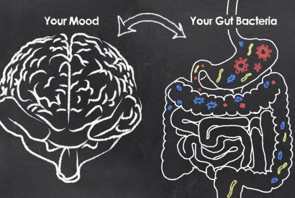 What is the Mind Gut Connection?