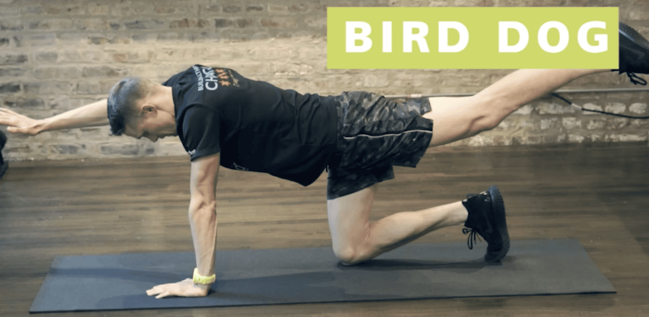 Core Exercises for Runners: Bird Dog & Dead Bug